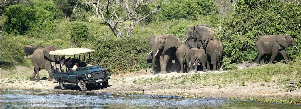 Tongabezi Lodge Simonga Esterno foto